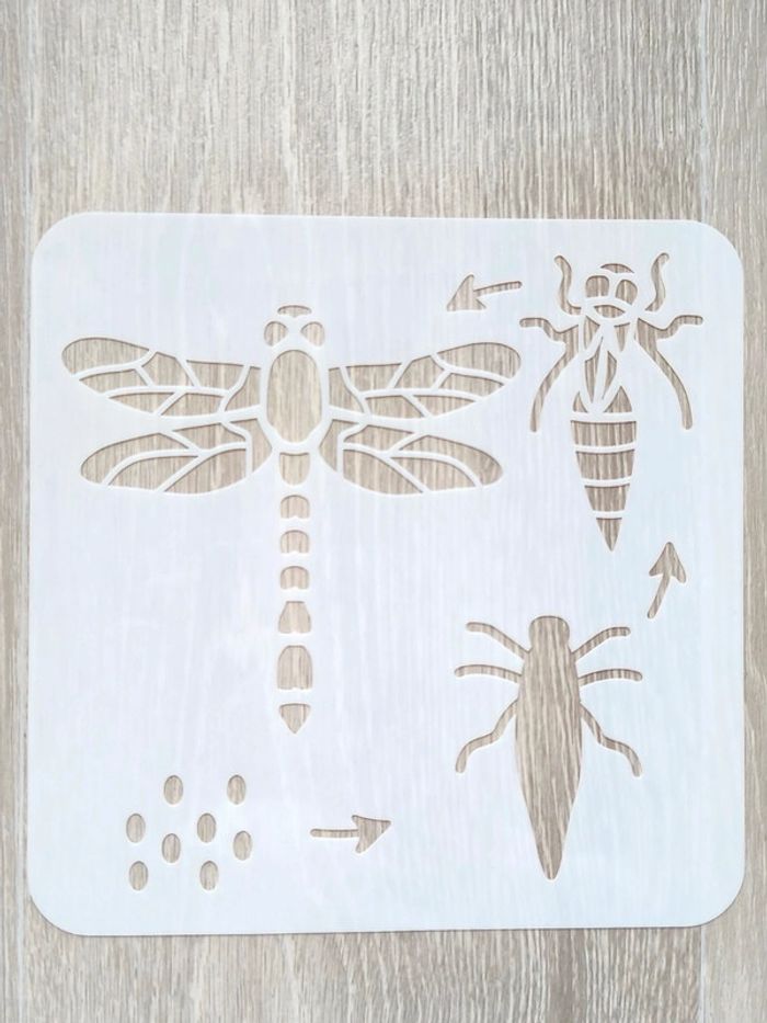 Pochoir du cycle de vie de la libellule - photo numéro 2