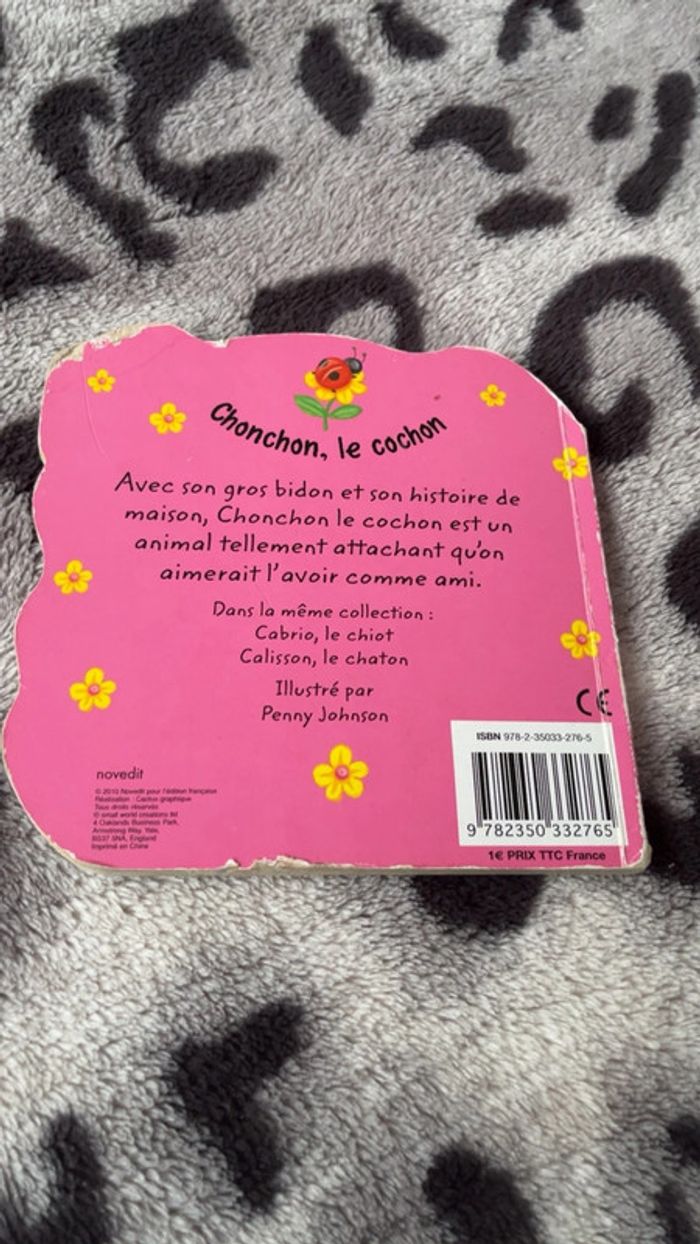 Chonchon le cochon - photo numéro 2