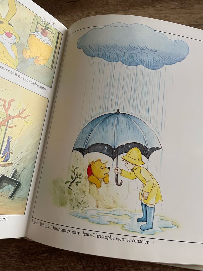 Winnie l’ourson - photo numéro 7