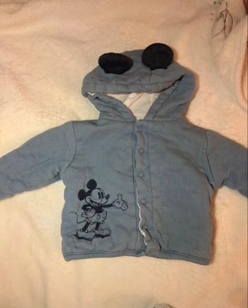 2 vestes Mickey 
