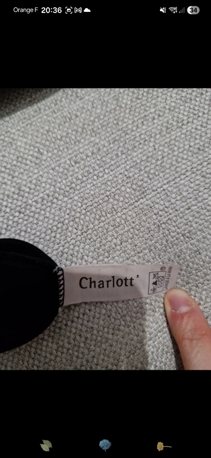 Top Charlott' - photo numéro 4