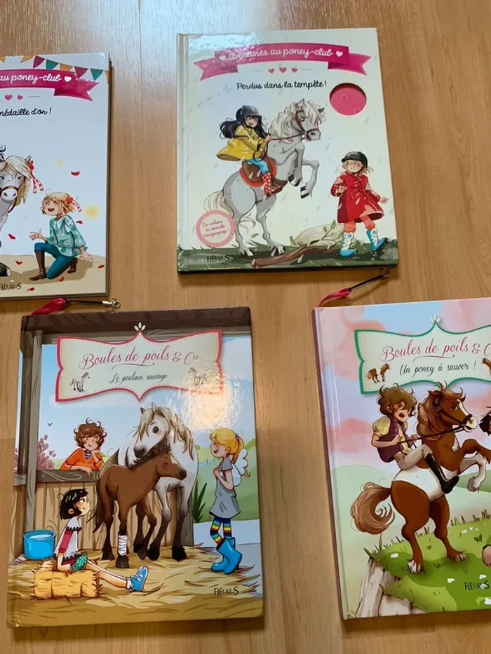 Lot livres poneys - photo numéro 3