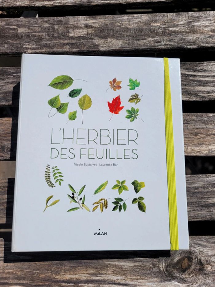 Très bel herbier Milan : L'Herbier des feuilles 🍃 72 - photo numéro 2