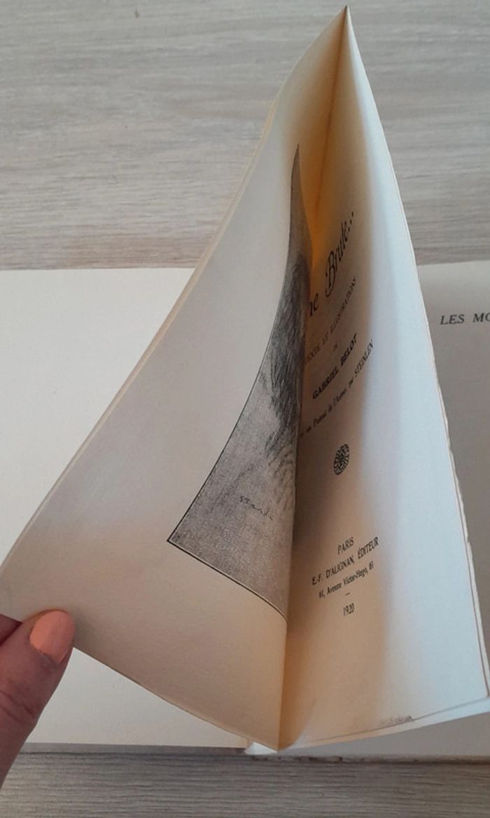 Une Brute.. Gabriel belot - photo numéro 3