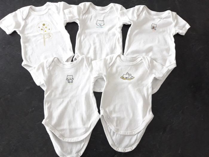 Lot 5 bodies