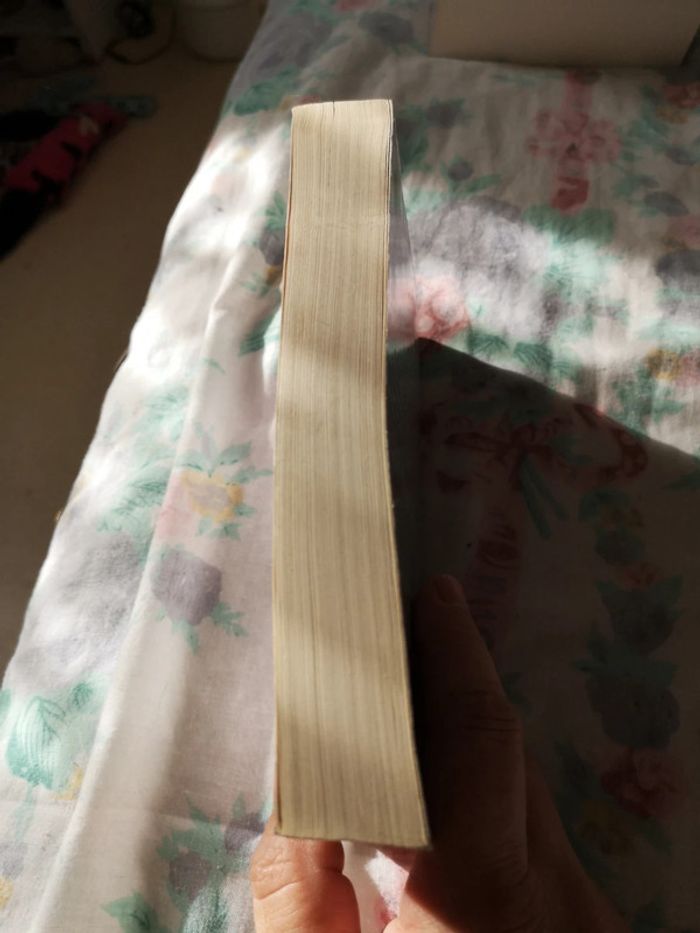 Le seigneur des anneaux 1 - photo numéro 4