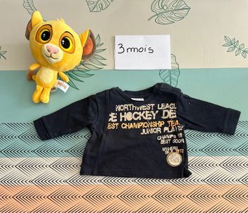 Pull taille 3 mois