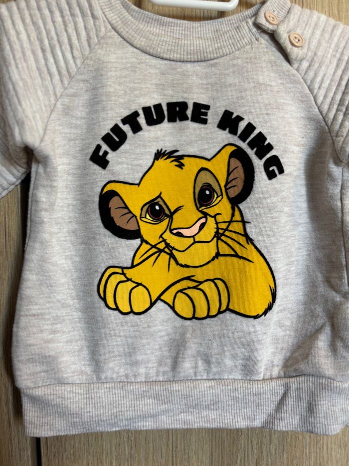 Pull Simba - photo numéro 2