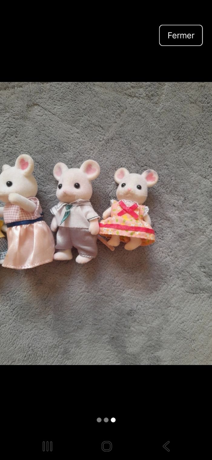 Familles souris - photo numéro 3