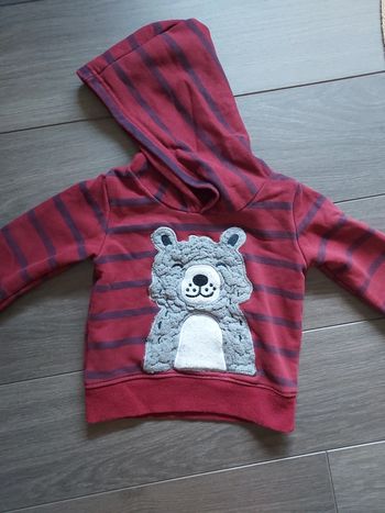 Sweat à capuche