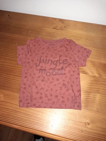 tee shirt 12 mois Pat et Ripaton