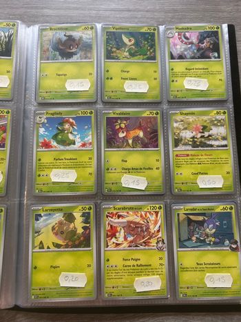 Carte Pokémon plante