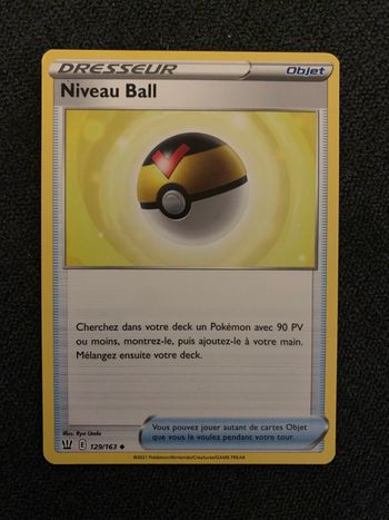 Niveau Ball 129/163