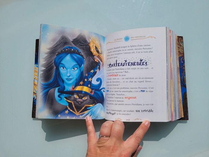 Geronimo Stilton : Très gros livre Chevalier au Royaume de la Fantaisie 🛡 - photo numéro 7