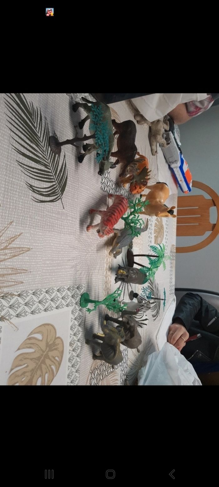 Animaux - photo numéro 3