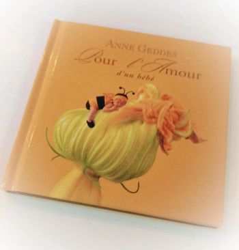 Petit small Livre Book jaune yellow abeille bee photo photographie Anne Geddes bébé baby amour 2003