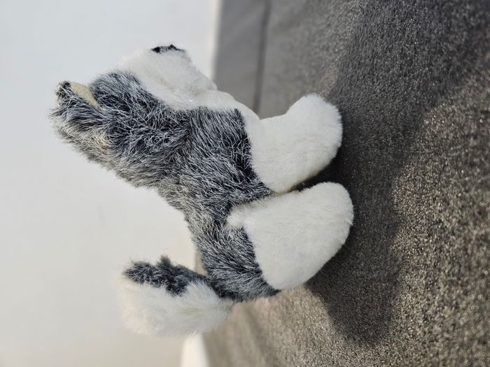 🧸 Peluche chien type Husky - photo numéro 5