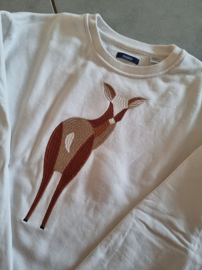 Pull 12 ans - photo numéro 2