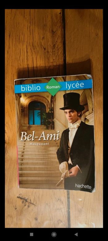 Biblio lycée Bel ami