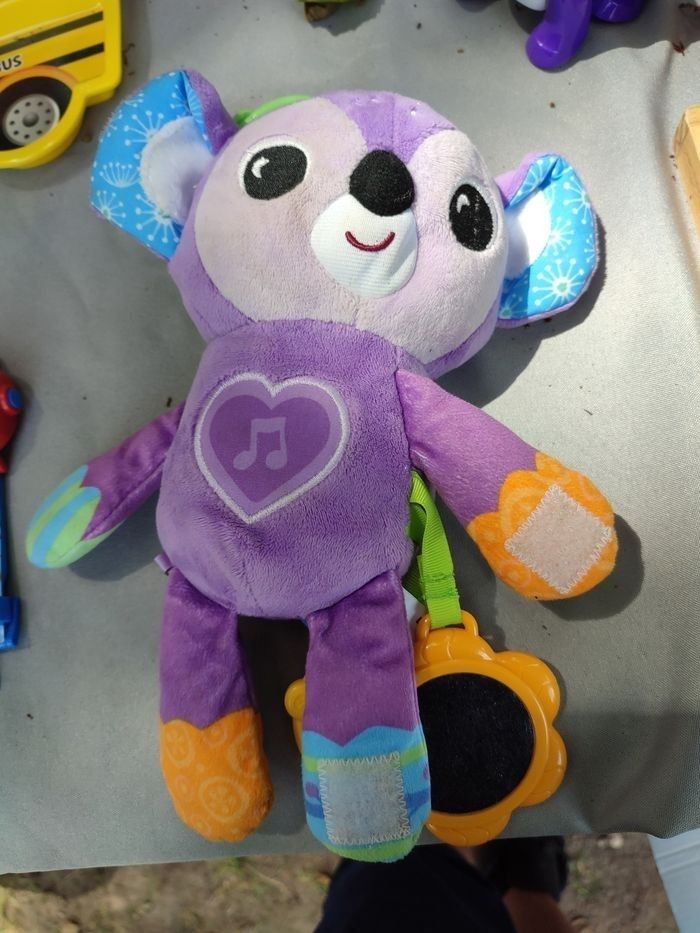 Lila koala