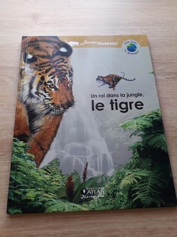 Un roi dans la jungle, le tigre
