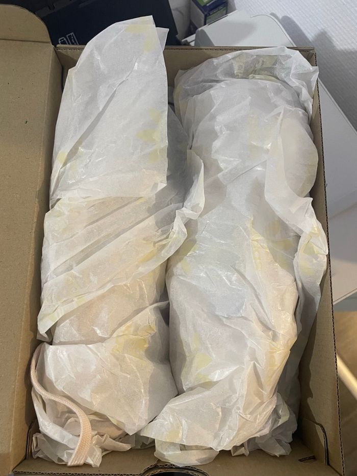 Gazelle rose - photo numéro 6