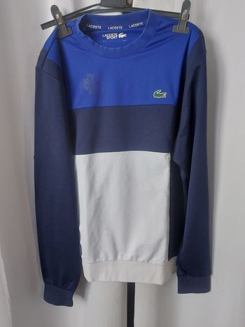 pull lacoste