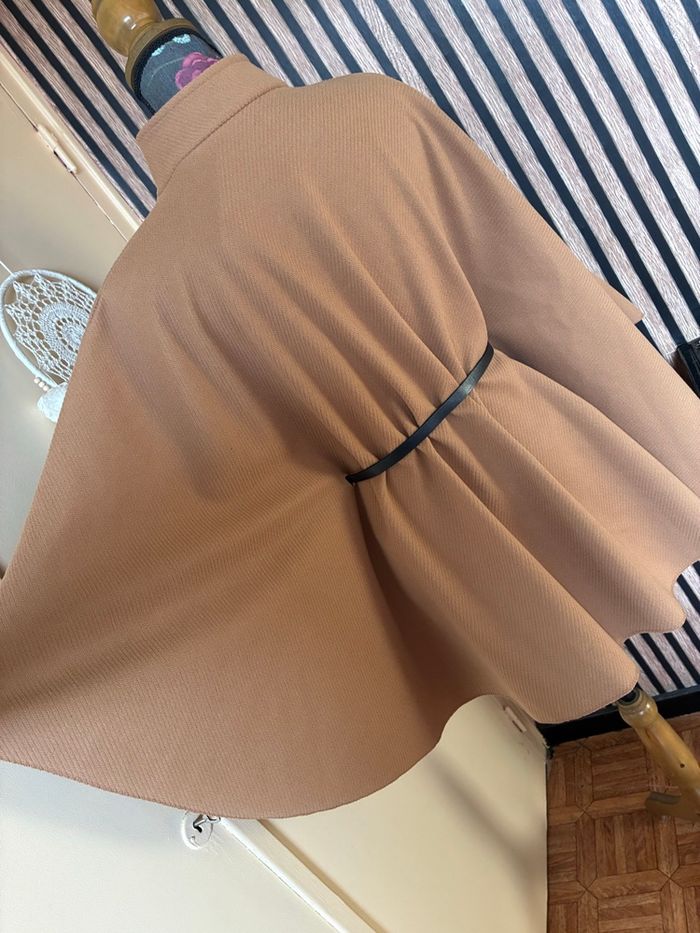 Cape camel - photo numéro 4