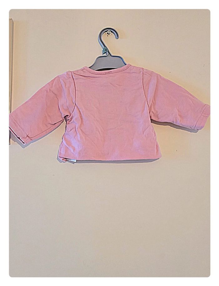 Gilet rose orchestra avec un lapin taille 1 mois - photo numéro 5