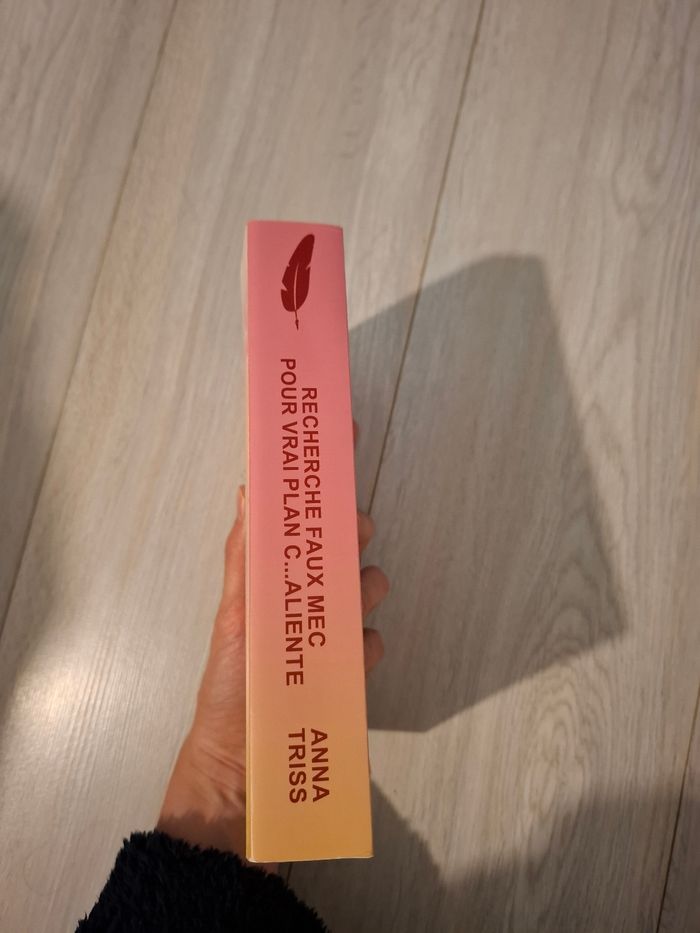 Romance d'Anna Triss, Recherche faux mec pour plan c...aliente - photo numéro 7