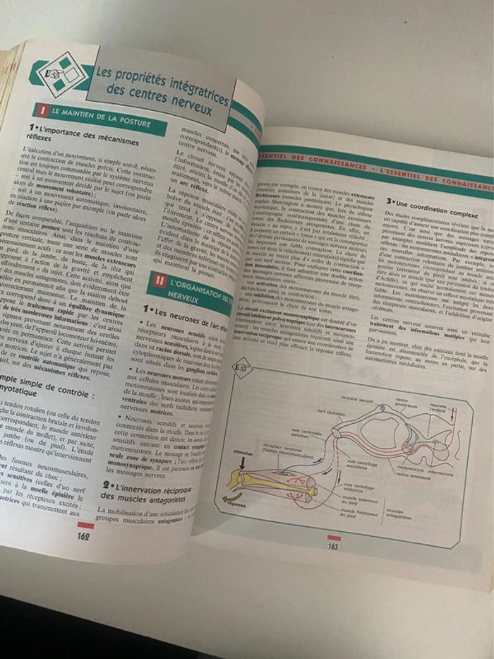 Livre SVT terminale - photo numéro 6