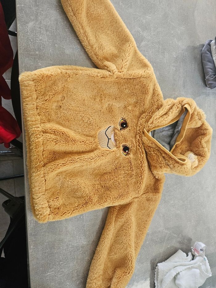 Pull simba - photo numéro 2