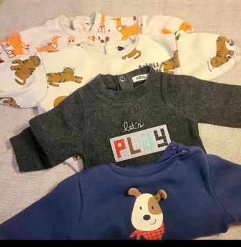 Pulls 3 mois