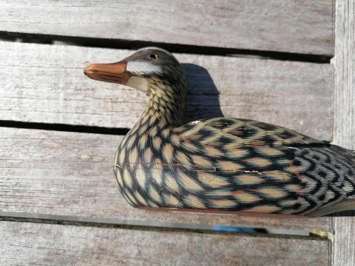 Figurine statuette canard vintage collection décoration - photo numéro 4