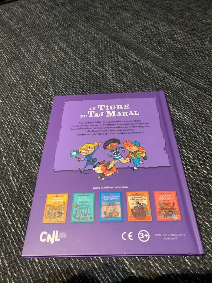 Le tigre du Taj Mahal - Énigmes et jeux - photo numéro 2