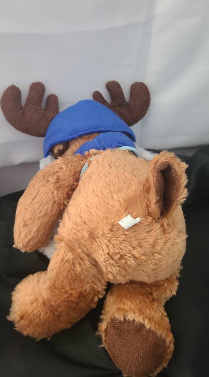 Élan avec un chapeau suédois - photo numéro 6