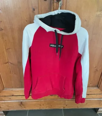 Sweat a capuche mixte hollister L