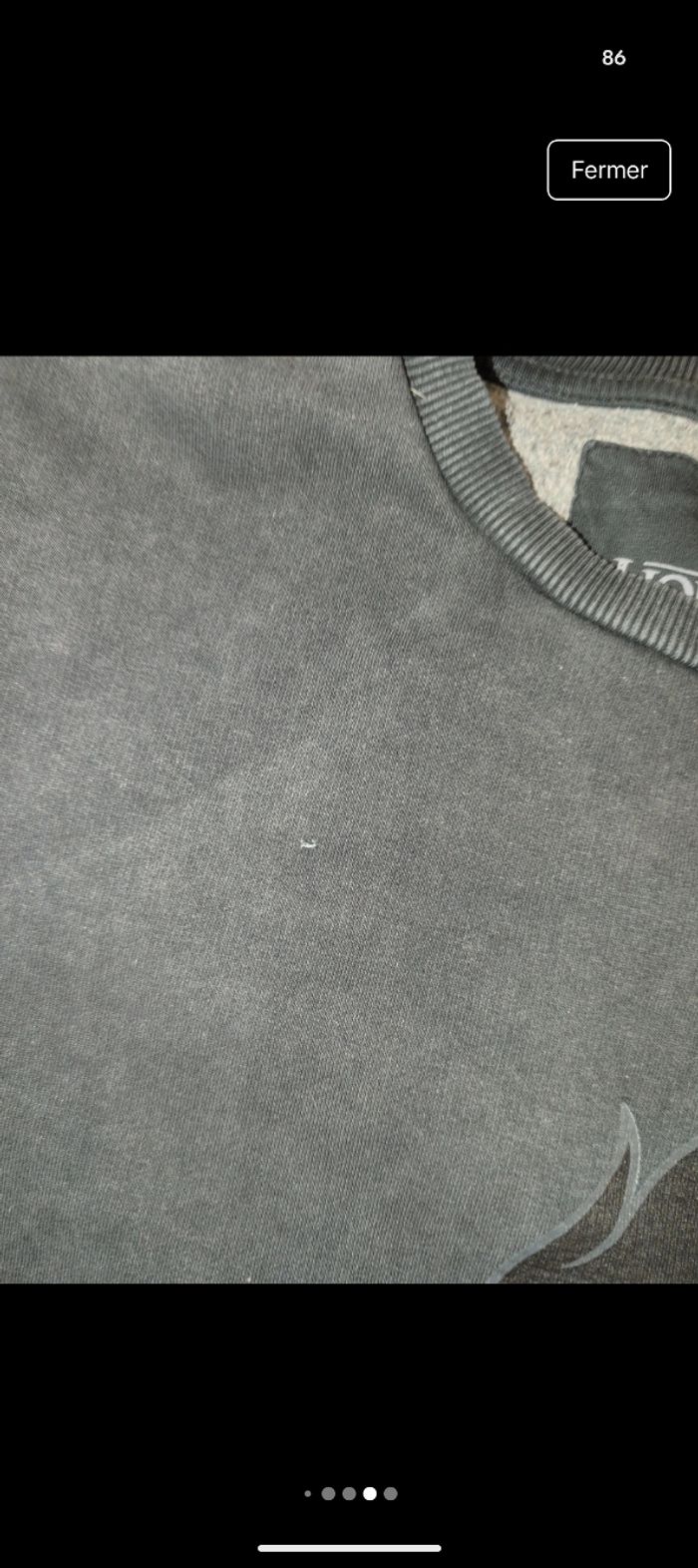 Pull le roi lion - photo numéro 3