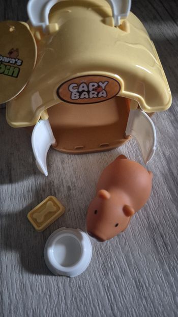 Petit maison capybara 