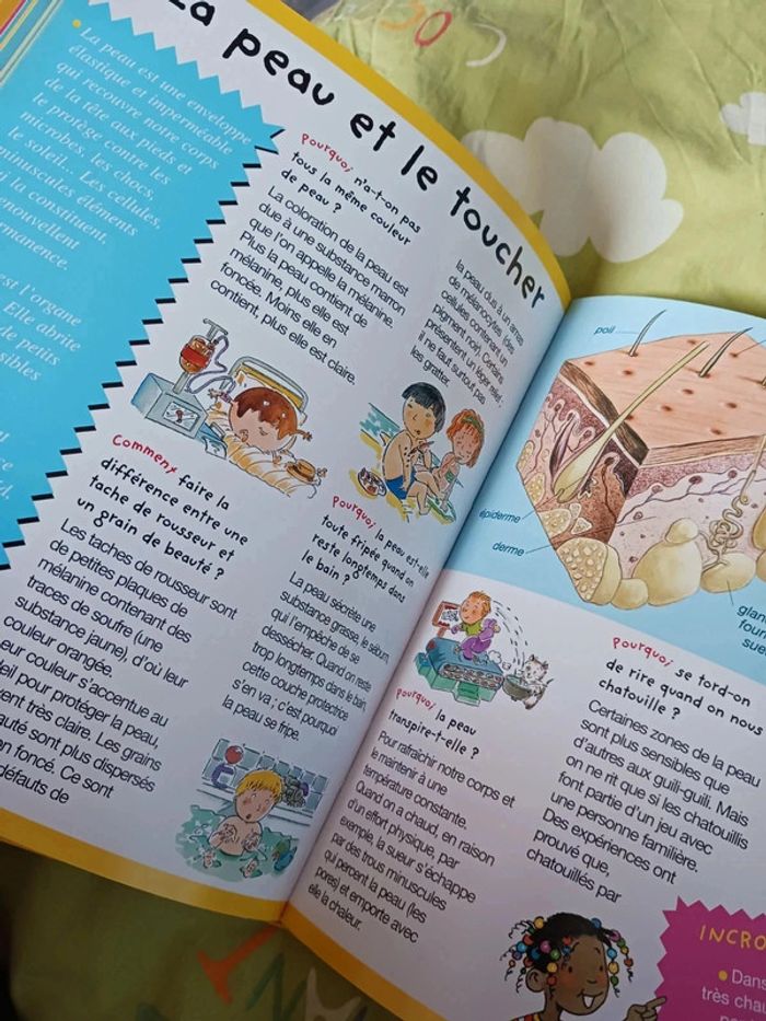🧠📘 Le Corps expliqué aux enfants – Ludique, coloré et éducatif ! - photo numéro 5