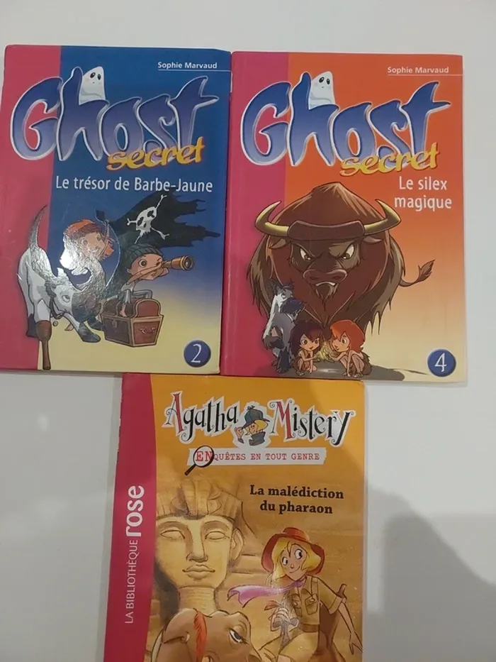 Lot de 2 livres de la bibliothèque rose