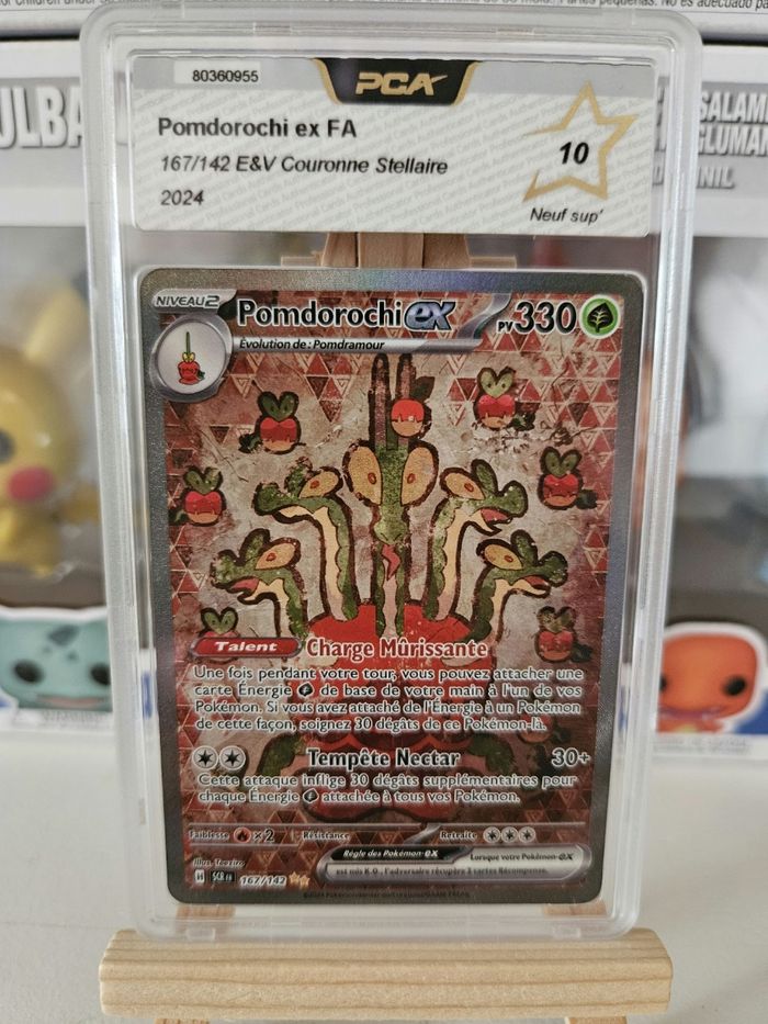 Pomdorochi 167/142 PCA10