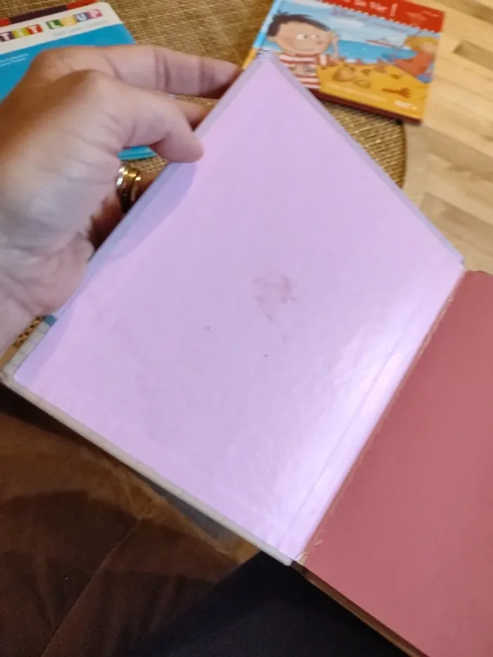 Livre une nounou ça sert à quoi - photo numéro 3