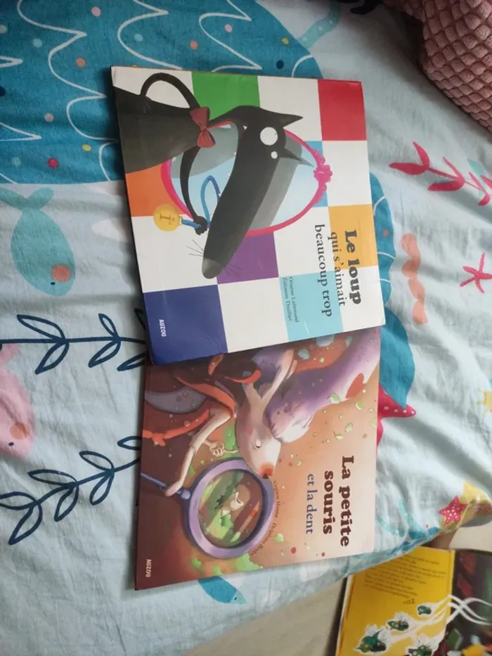 Lot de deux livres de chez auzou en bon état