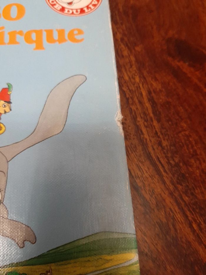 Livre Disney - photo numéro 4