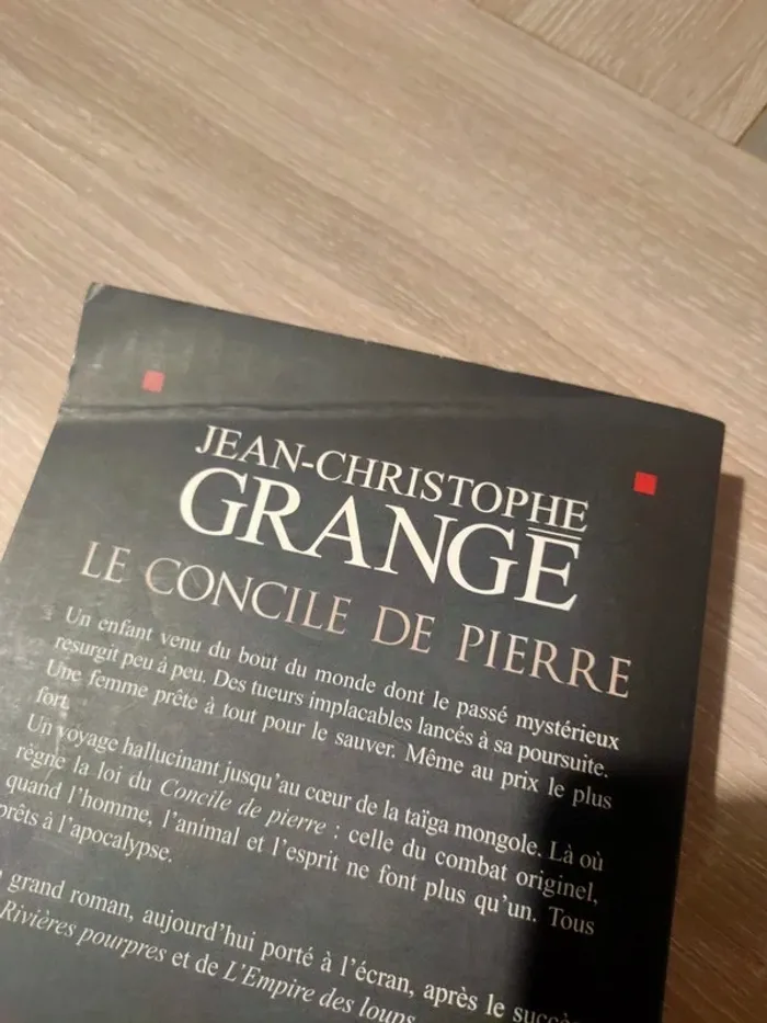 Le concile de pierre - photo numéro 3