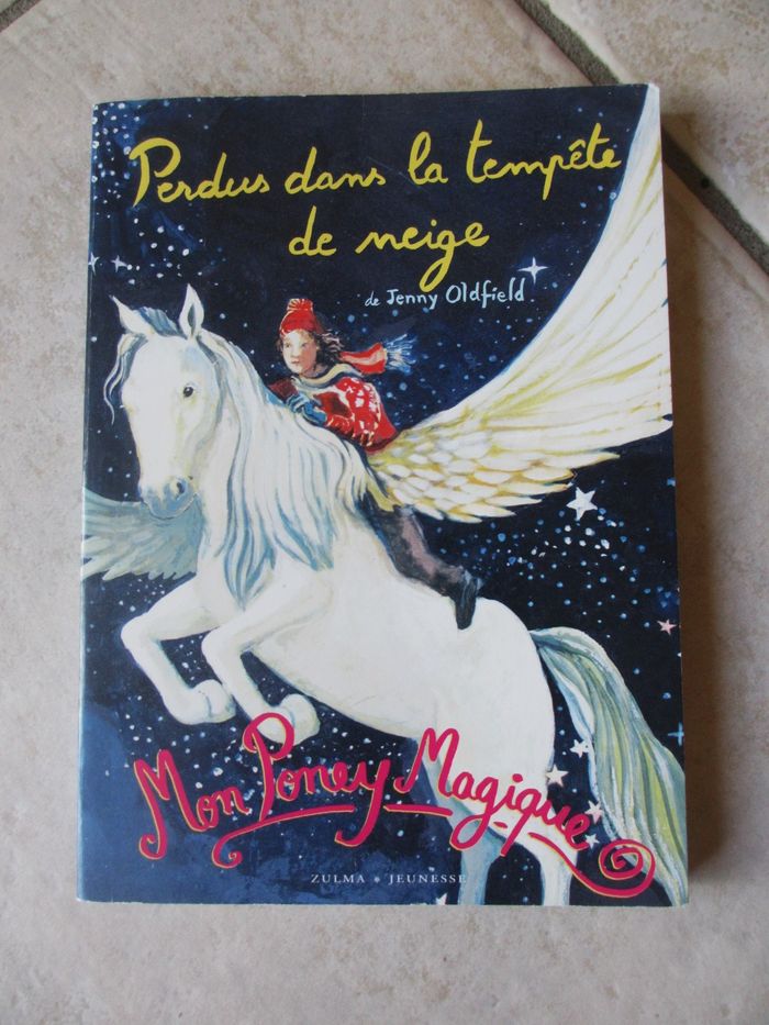 Roman enfant Mon Poney Magique – Tome 4 Perdus dans la tempête - photo numéro 1