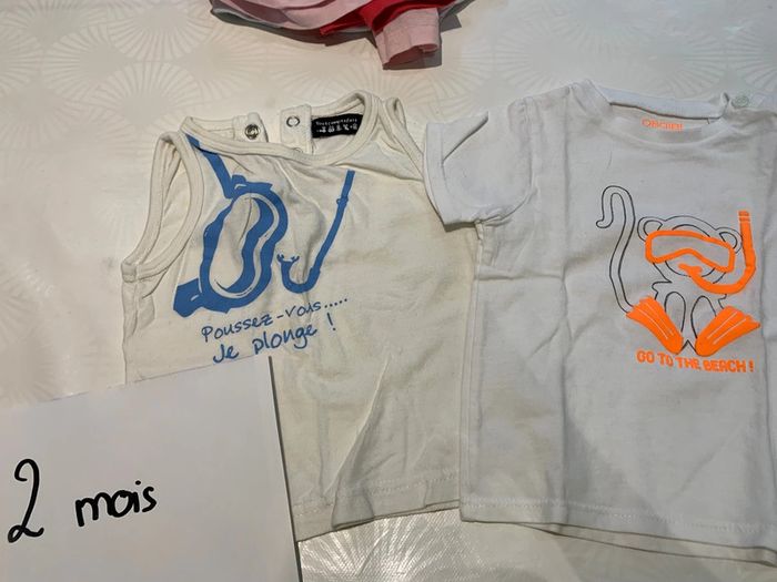 Scub plongée mixte 12 mois