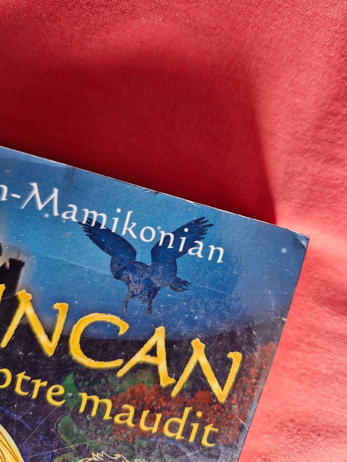 Saga Tara Duncan 5 tomes - photo numéro 9