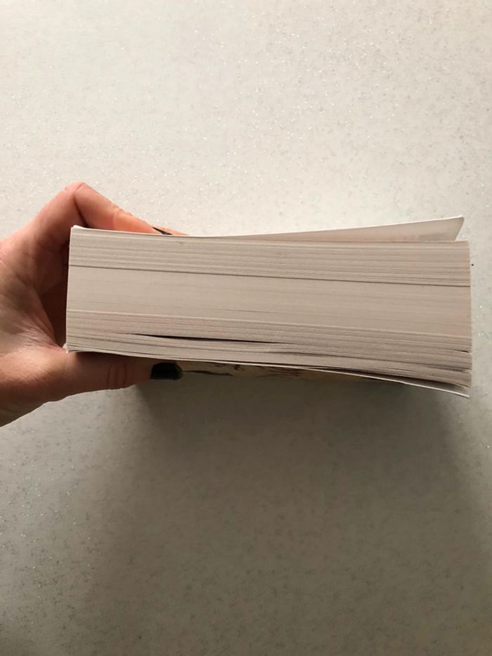 Livre Robert Lyndon - photo numéro 6
